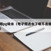 电子烟pg吸水（电子烟进水了吸不出烟了怎么办）